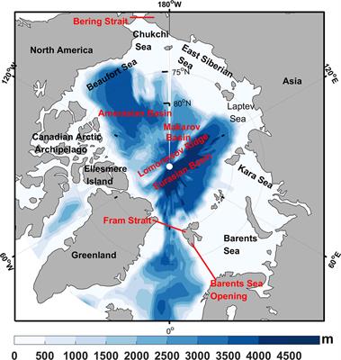 Sea level variation in the Arctic Ocean since 1979 based on ORAS5 data